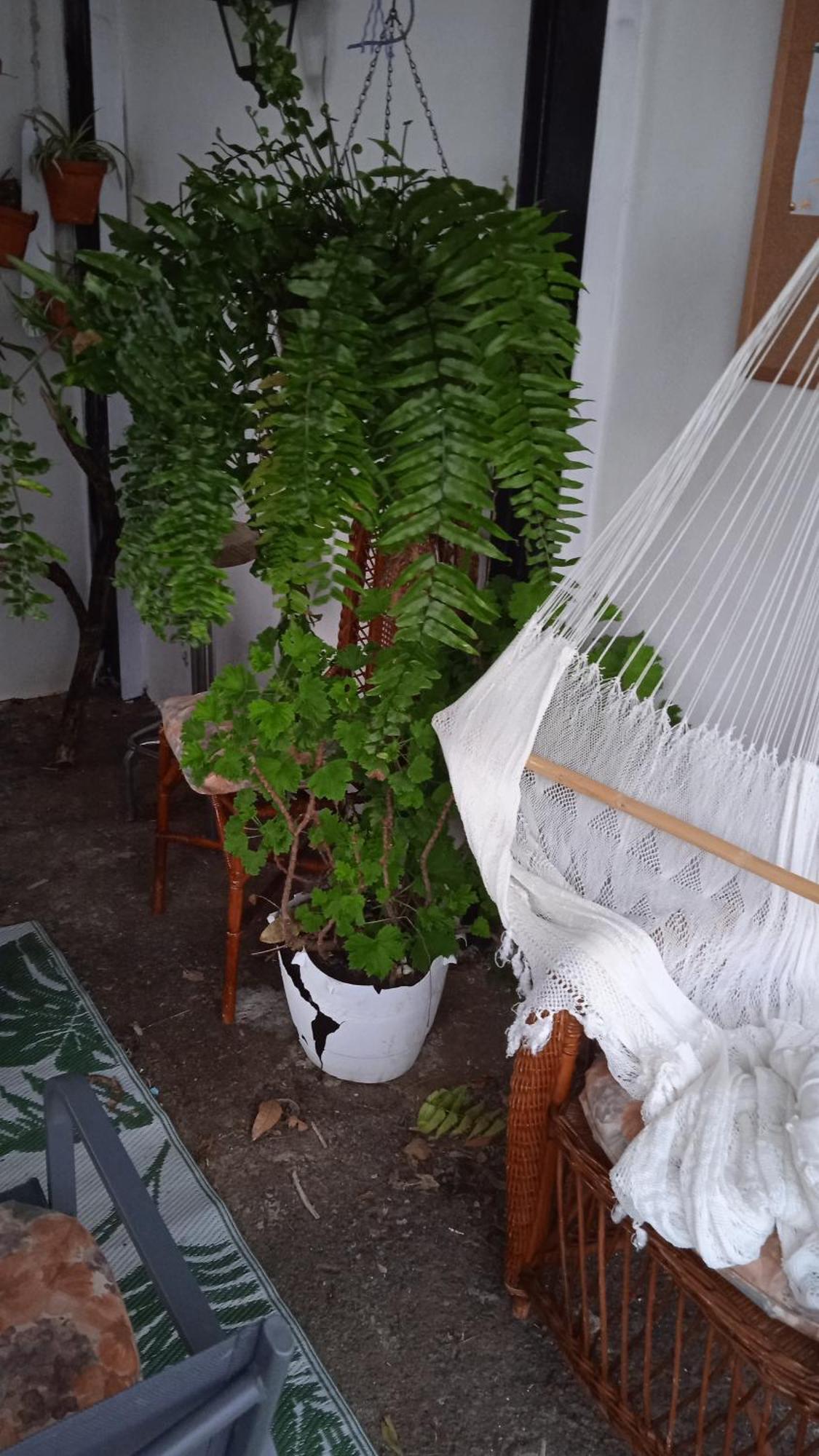 Casa Nieves De Mario Villa Santa Cruz de la Palma  Bagian luar foto